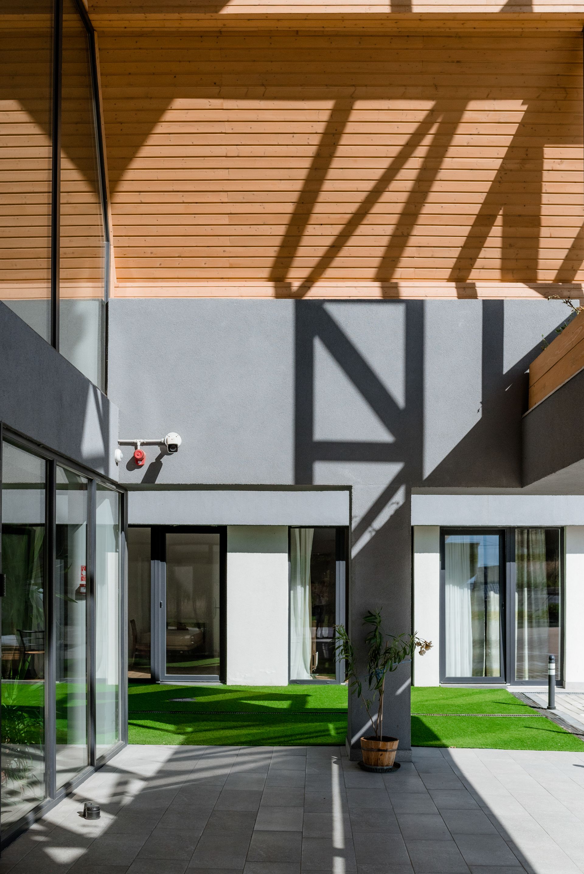 The atrium/inner courtyard seen from beneath the timber-clad eaves, whose shadows draw a rhythm across the grey-plastered wall. Dark-framed curtain walls open onto the interior spaces; below, a green lawn, a potted tree and dark tiled paving.