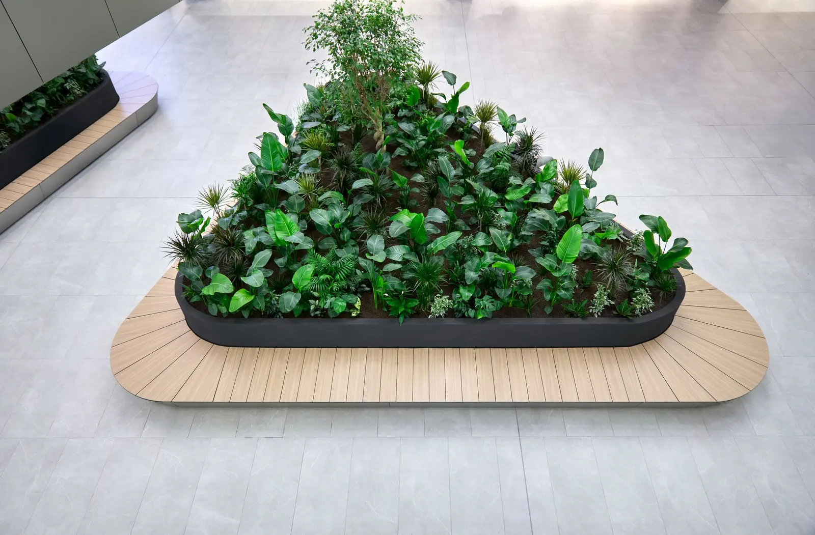 Interior detail: a planter with greenery set on the floor, Arena Mall Bacău