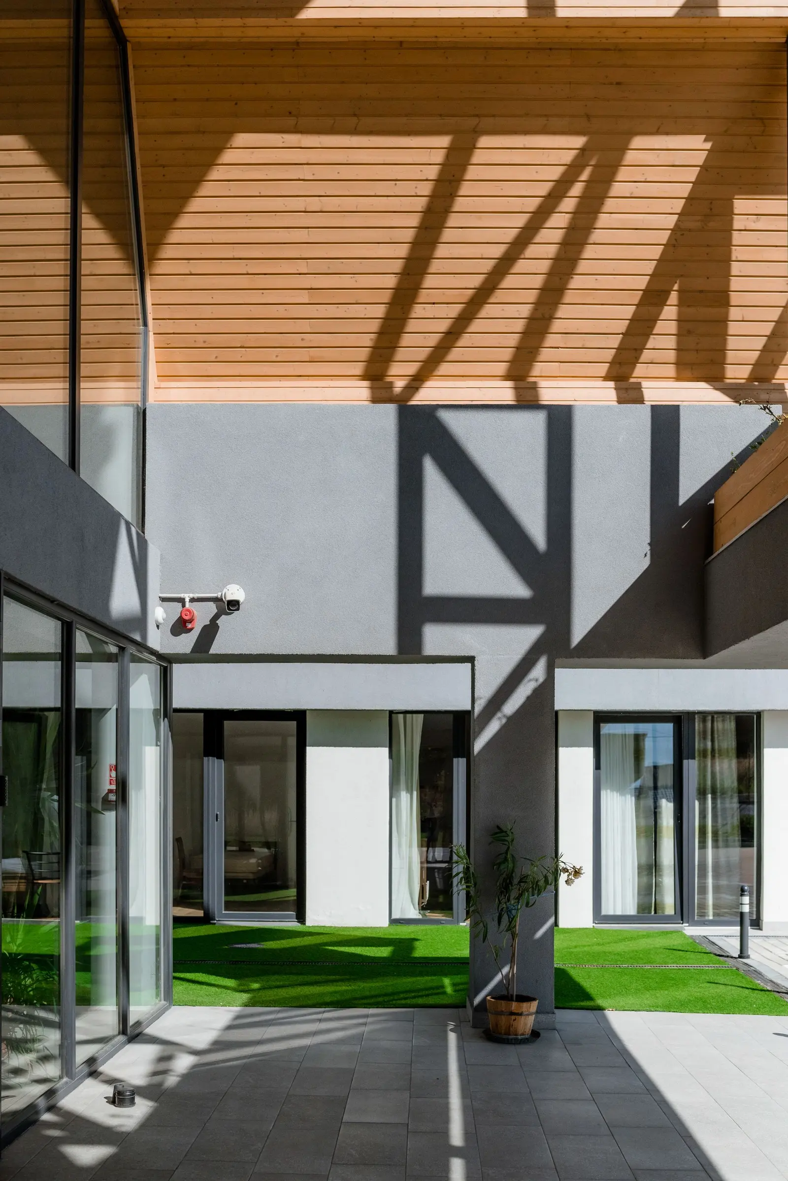 The atrium/inner courtyard seen from beneath the timber-clad eaves, whose shadows draw a rhythm across the grey-plastered wall. Dark-framed curtain walls open onto the interior spaces; below, a green lawn, a potted tree and dark tiled paving.